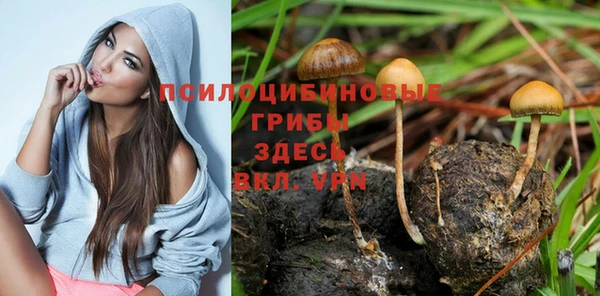 соль ск Карпинск