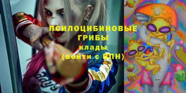 соль ск Карпинск
