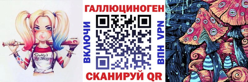 Купить  Киселёвск  Галлюциногенные грибы Psilocybe 